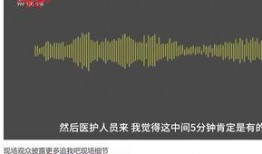 新闻爆料录音怎么录的,技术手段与操作细节